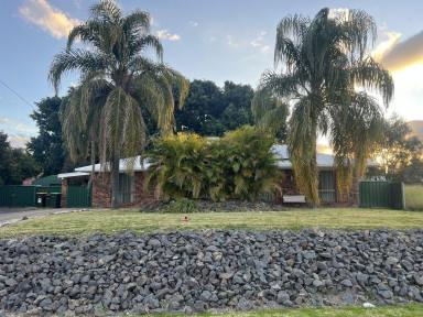 House For Sale - NSW - Moree - 2400 - BRICK FAMILY HOME - MOTIVATED VENDOR  (Image 2)