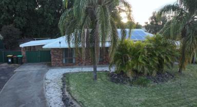 House For Sale - NSW - Moree - 2400 - BRICK FAMILY HOME - MOTIVATED VENDOR  (Image 2)