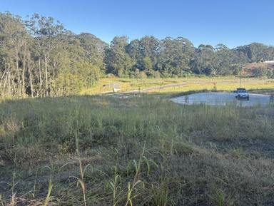 Residential Block For Sale - NSW - Coffs Harbour - 2450 - Dual Occupancy Opportunity in a brand new estate.  (Image 2)
