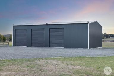 House For Sale - VIC - Trawalla - 3373 - Modern Living Meets Serious Shedding On 5 Acres Approx.  (Image 2)