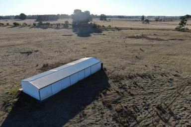 Other (Rural) For Sale - VIC - Hamilton - 3300 - Expression of Interest - 20 Acres with Large Shed and River Frontage  (Image 2)