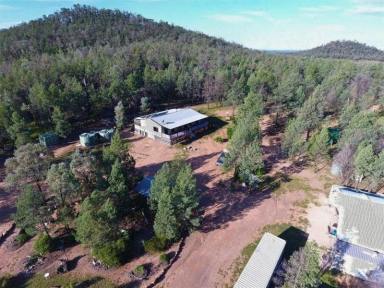 Lifestyle For Sale - QLD - Smithlea - 4385 - "Rocky Pines" - A Versatile Sanctuary for Nature Enthusiasts and Agricultural Ventures (Image 2)