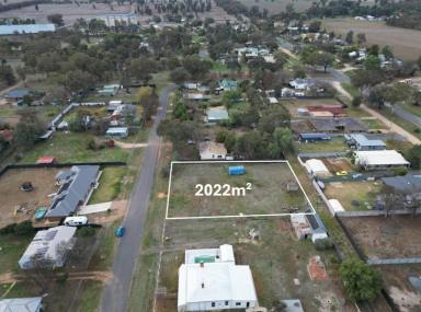 Residential Block For Sale - NSW - Brocklesby - 2642 - Country Living Starts Here – Spacious Block in Brocklesby  (Image 2)