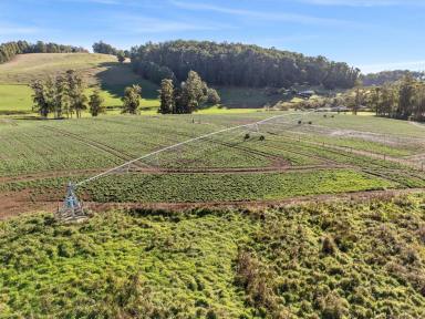 Residential Block For Sale - TAS - Gawler - 7315 - Versatile Property  (Image 2)