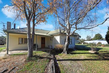 House For Sale - VIC - Omeo - 3898 - High Country Living with Space  (Image 2)