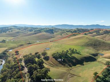 Farmlet For Sale - VIC - Reedy Flat - 3895 - PRODUCTIVE ACRES WITH SPECTACULAR MOUNTAIN VIEWS ON THE TAMBO RIVER!  (Image 2)