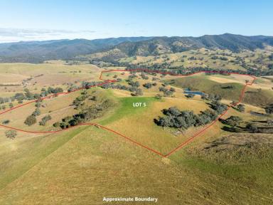 Farmlet For Sale - VIC - Reedy Flat - 3895 - PRODUCTIVE ACRES WITH SPECTACULAR MOUNTAIN VIEWS ON THE TAMBO RIVER!  (Image 2)