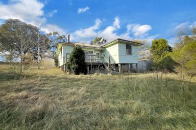 Lifestyle For Sale - NSW - Wyangala - 2808 - RENOVATERS TAKE NOTE - SET ON 83 ACRES!  (Image 2)