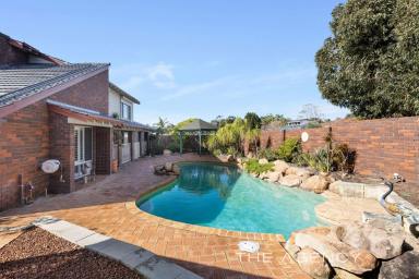 House For Sale - WA - Carine - 6020 - Tranquil Living With Heart and Soul!  (Image 2)