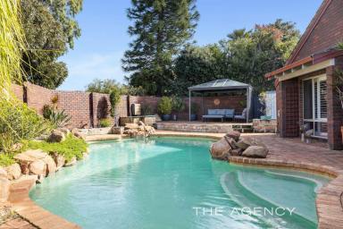 House For Sale - WA - Carine - 6020 - Tranquil Living With Heart and Soul!  (Image 2)