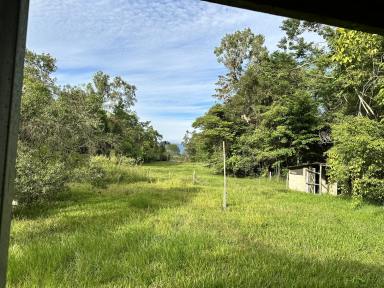 House For Sale - QLD - Murrigal - 4854 - Rural Opportunity $249,000  (Image 2)