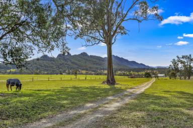 Acreage/Semi-rural For Sale - NSW - Gloucester - 2422 - Spacious Family Home on 5.7 Acres - Peaceful Rural Living with Horse-Friendly Facilities Just Minutes from Gloucester  (Image 2)