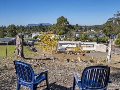 House For Sale - TAS - Orford - 7190 - Ultimate Family Getaway  (Image 2)