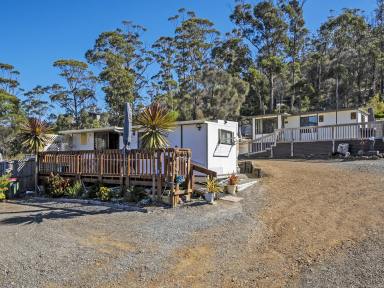 House For Sale - TAS - Orford - 7190 - Ultimate Family Getaway  (Image 2)