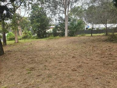 Residential Block Sold - QLD - Macleay Island - 4184 - Mostly cleared and ready for your dream home  (Image 2)