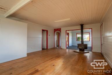 House For Sale - NSW - Deepwater - 2371 - Endless Possibilities on 8,094m2 in Deepwater- Transform, Build or Invest!  (Image 2)