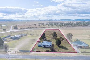House For Sale - NSW - Deepwater - 2371 - Endless Possibilities on 8,094m2 in Deepwater- Transform, Build or Invest!  (Image 2)