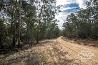 Residential Block For Sale - NSW - Red Range - 2370 - Escape to Nature!  (Image 2)