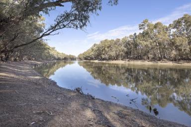 Lifestyle For Sale - NSW - Speewa - 2735 - Exceptional 50 Hectare Farm with Charming 3 Bedroom Home  (Image 2)