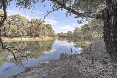 Lifestyle For Sale - NSW - Speewa - 2735 - Exceptional 50 Hectare Farm with Charming 3 Bedroom Home  (Image 2)