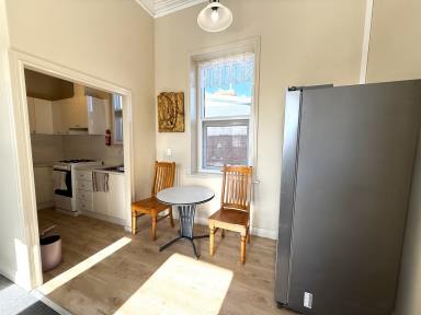 Unit For Lease - NSW - Cooma - 2630 - 3/176 Sharp Street, Cooma  (Image 2)