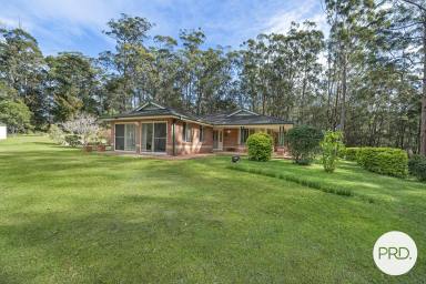 Acreage/Semi-rural For Sale - NSW - Kew - 2439 - Country Living Meets Convenience  (Image 2)