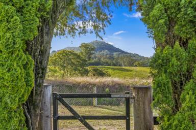 House For Sale - NSW - Stroud Road - 2415 - Country Charm with River Frontage - The Perfect Small Acreage Escape  (Image 2)
