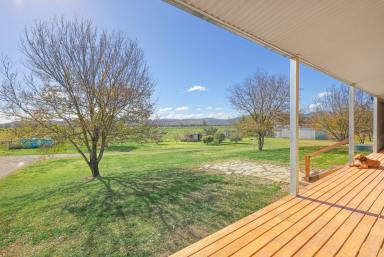 Mixed Farming Auction - NSW - Tamworth - 2340 - PRODUCTION, LOCATION, LIFESTYLE  (Image 2)
