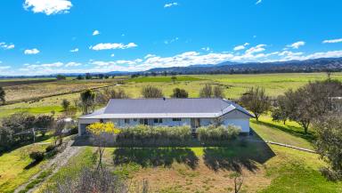 Mixed Farming Auction - NSW - Tamworth - 2340 - PRODUCTION, LOCATION, LIFESTYLE  (Image 2)