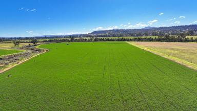Mixed Farming For Sale - NSW - Tamworth - 2340 - PRODUCTION, LOCATION, LIFESTYLE  (Image 2)