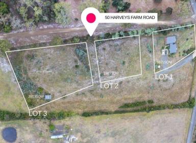 Residential Block For Sale - TAS - Bicheno - 7215 - Bicheno Rural Living land ready to Build  (Image 2)
