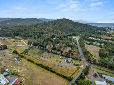 Residential Block For Sale - TAS - Bicheno - 7215 - Bicheno Rural Living land ready to Build  (Image 2)