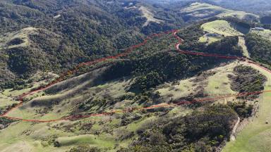 Lifestyle For Sale - VIC - Johanna - 3238 - Spectacular Coastal Acreage  (Image 2)
