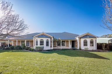 House For Sale - SA - Penola - 5277 - Premiere Property in Miamba Close  (Image 2)