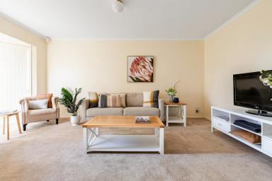 House For Sale - VIC - Mildura - 3500 - Ideal starter or investment  (Image 2)