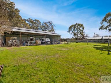 House For Lease - NSW - Jindera - 2642 - Stunning farm style home 15 minutes from Albury CBD  (Image 2)