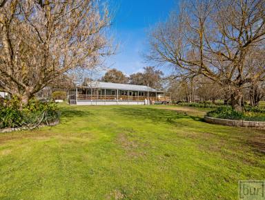 House For Lease - NSW - Jindera - 2642 - Stunning farm style home 15 minutes from Albury CBD  (Image 2)