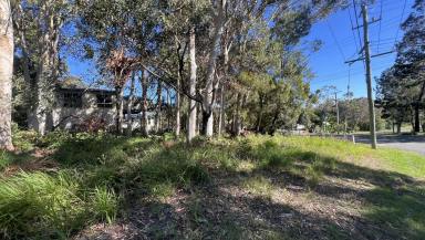 Residential Block For Sale - QLD - Macleay Island - 4184 - Prime Corner Block - Walk to Beach, Bowls & Arts Complex  (Image 2)