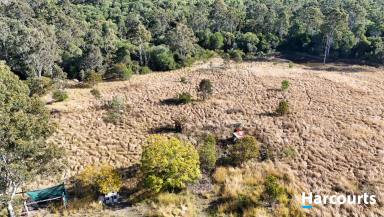 Residential Block For Sale - QLD - Isis Central - 4660 - APPROXIMATELY 128 ACRE LIFESTYLE BLOCK  (Image 2)