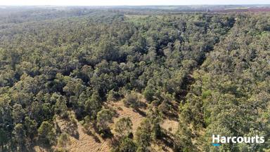 Residential Block For Sale - QLD - Isis Central - 4660 - APPROXIMATELY 128 ACRE LIFESTYLE BLOCK  (Image 2)