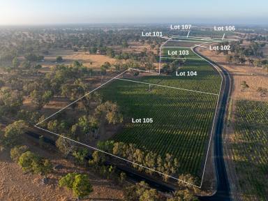 Residential Block For Sale - SA - Penola - 5277 - 11.3 acre lifestyle allotment 1 minute from Penola  (Image 2)