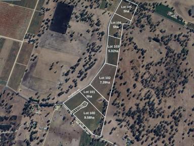 Residential Block For Sale - SA - Penola - 5277 - Lifestyle allotment two minutes from Penola  (Image 2)