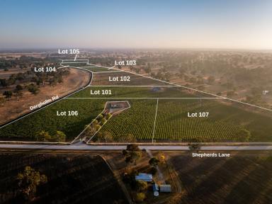 Residential Block For Sale - SA - Penola - 5277 - Lifestyle allotment two minutes from Penola  (Image 2)