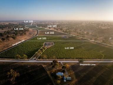 Residential Block For Sale - SA - Penola - 5277 - Lifestyle allotment two minutes from Penola  (Image 2)
