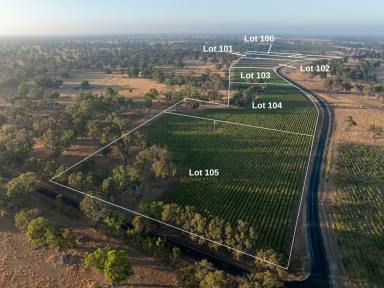 Residential Block For Sale - SA - Penola - 5277 - Gum studded 5 hectare allotment two minutes from Penola  (Image 2)