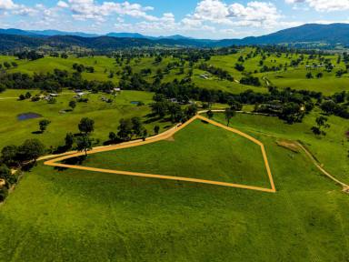 Residential Block For Sale - NSW - Bega - 2550 - 5 ACRE BLANK CANVAS  (Image 2)