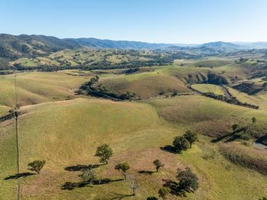 Farmlet For Sale - VIC - Reedy Flat - 3895 - 146 ACRES OF ROLLING HILLS WITH RUNNING CREEK AND SCENIC VIEWS  (Image 2)