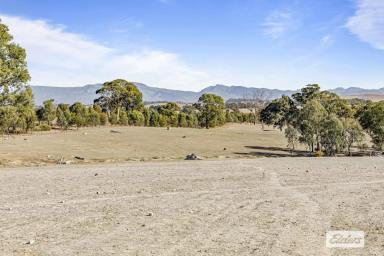Other (Rural) For Sale - VIC - Norval - 3377 - Well Located & Productive Small Acreage - Close to Ararat & Stawell  (Image 2)