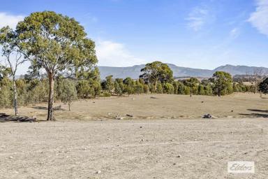 Other (Rural) For Sale - VIC - Norval - 3377 - Well Located & Productive Small Acreage - Close to Ararat & Stawell  (Image 2)