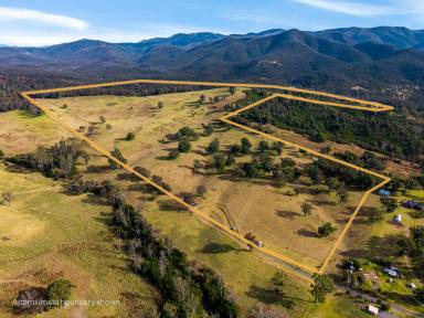 Residential Block For Sale - NSW - Cobargo - 2550 - VACANT LAND, COBARGO GRAZING PROPERTY  (Image 2)